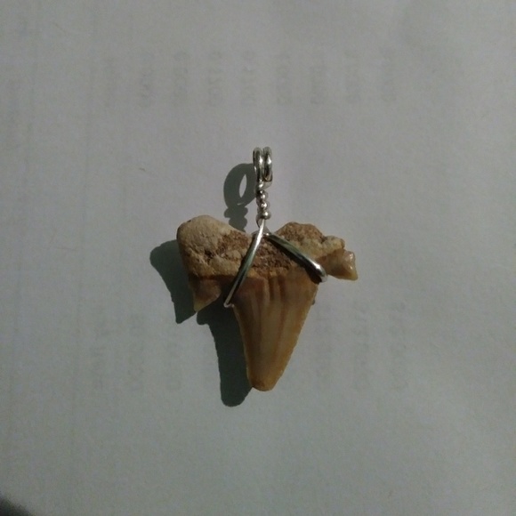Genuine, Sterling Silver Fossil Shark Tooth Pendan - Picture 3 of 3